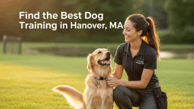 find the best dog training in Hanover MA