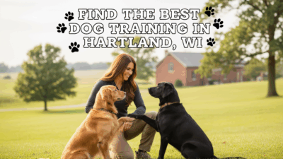 find the best Dog Training in Hartland, WI