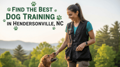 find the best Dog Training in Hendersonville, NC