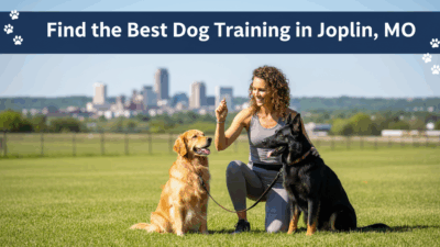 find the best Dog Training in Joplin, MO