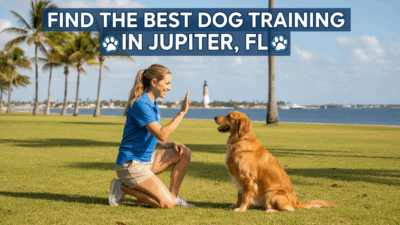 find the best Dog Training in Jupiter, FL
