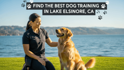find the best Dog Training in Lake Elsinore, CA