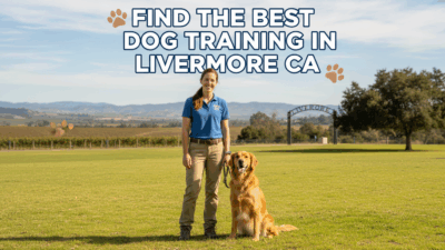 find the best Dog Training in Livermore CA