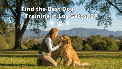 find the best Dog Training in Los Gatos, CA
