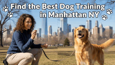 find the best Dog Training in Manhattan NY