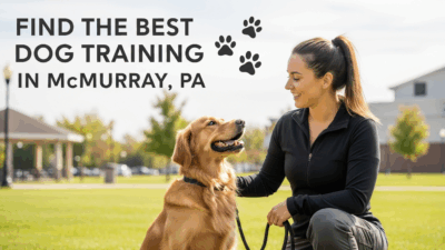 find the best Dog Training in McMurray, PA