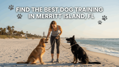 find the best Dog Training in Merritt Island, FL