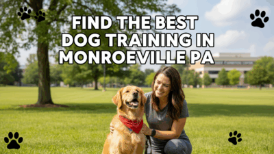 find the best Dog Training in Monroeville PA