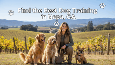 find the best Dog Training in Napa, CA