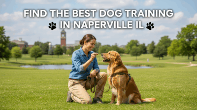 find the best Dog Training in Naperville IL
