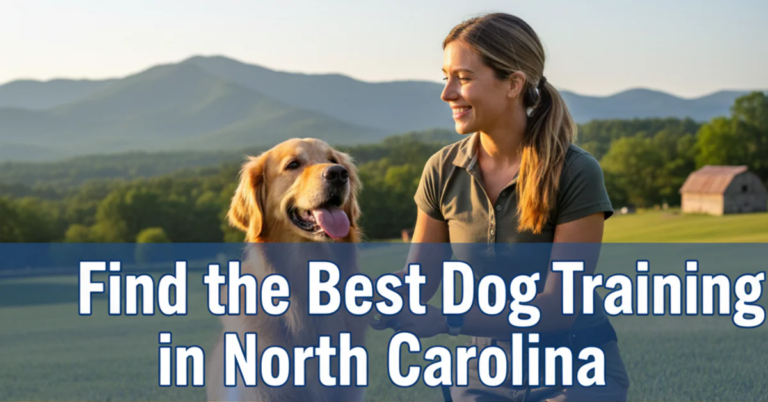 Find The Best Dog Training In North Carolina For 2025