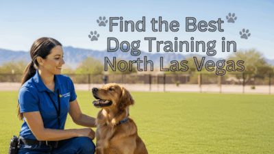 find the best Dog Training in North Las Vegas