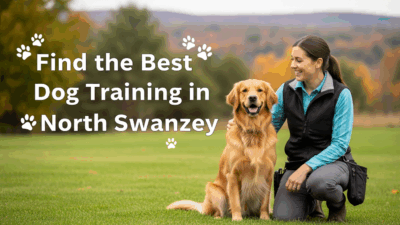 find the best Dog Training in North Swanzey