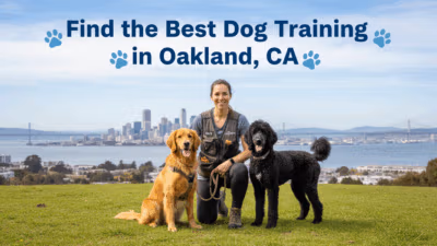 find the best Dog Training in Oakland, CA