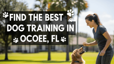 find the best Dog Training in Ocoee, FL