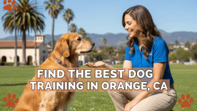 find the best Dog Training in Orange, CA