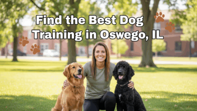 find the best Dog Training in Oswego, IL