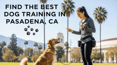find the best Dog Training in Pasadena, CA