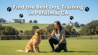 find the best Dog Training in Petaluma, CA