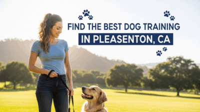find the best Dog Training in Pleasanton, CA