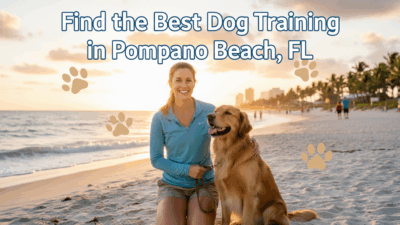 find the best Dog Training in Pompano Beach, FL