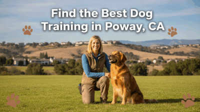 find the best Dog Training in Poway, CA