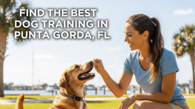 find the best dog training in Punta Gorda FL