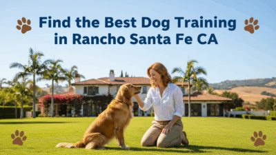 find the best Dog Training in Rancho Santa Fe CA