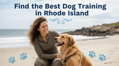 find the best Dog Training in Rhode Island