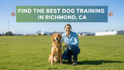 find the best Dog Training in Richmond, CA