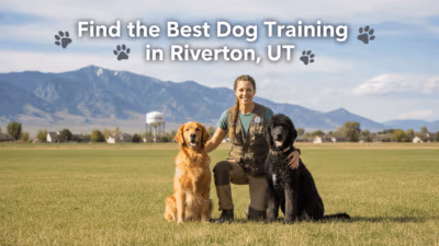 find the best Dog Training in Riverton, UT