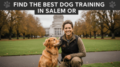find the best Dog Training in Salem OR
