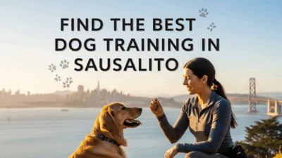 find the best Dog Training in Sausalito