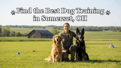 find the best Dog Training in Somerset, OH