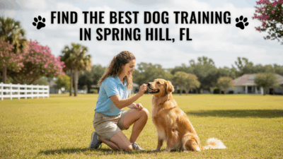 find the best Dog Training in Spring Hill, FL