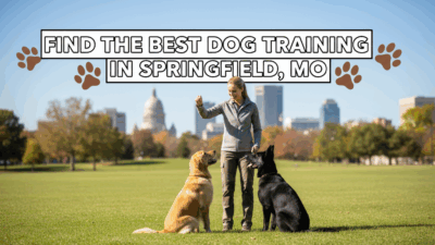 find the best Dog Training in Springfield, MO