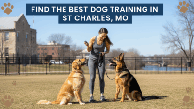 find the best Dog Training in St Charles, MO