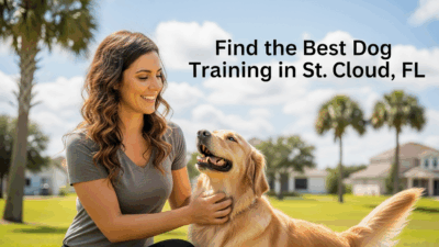 find the best dog training in St Cloud FL