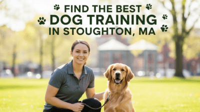 find the best Dog Training in Stoughton, MA
