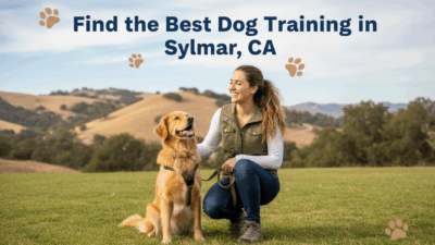find the best Dog Training in Sylmar, CA