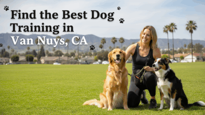 find the best Dog Training in Van Nuys, CA