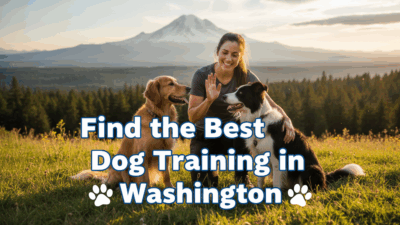 find the best Dog Training in Washington