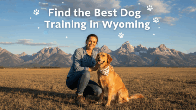 find the best Dog Training in Wyoming