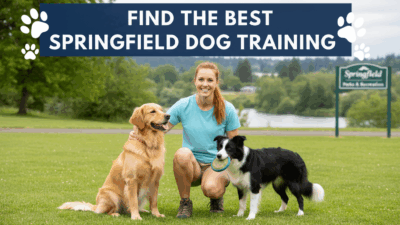 find the best Springfield Dog Training