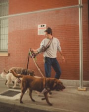 Jonah Friends Dog Training & Pet Care featured image for this Dog Trainer