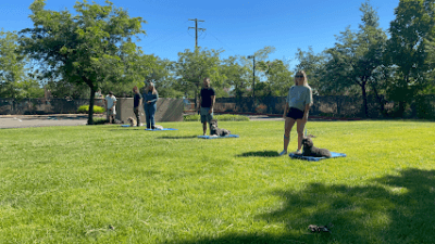 JPK9 Academy featured image for this Dog Trainer