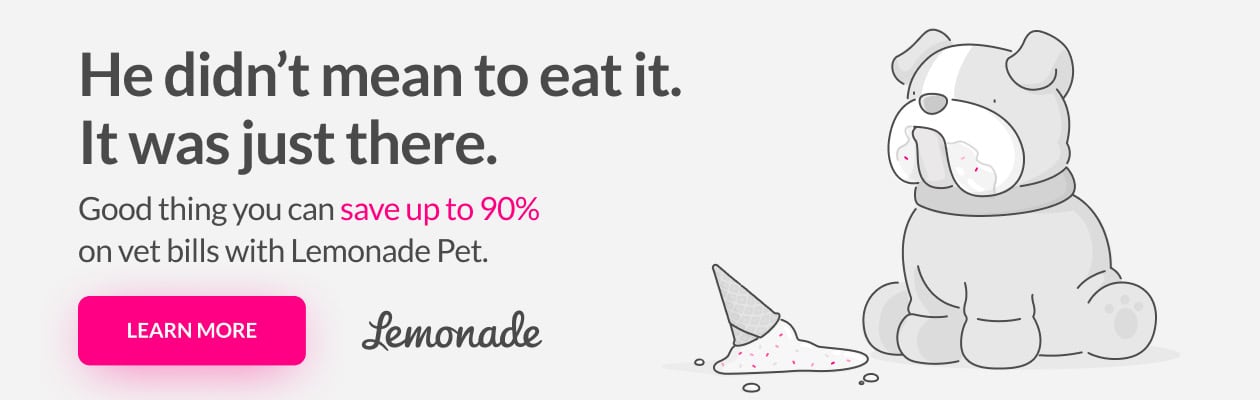 He did not mean to eat it. Save up to 90% on vet bills with Lemonade Pet