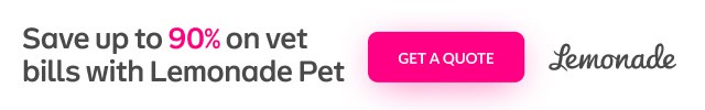 Save up to 90% on vet bills with Lemonade Pet