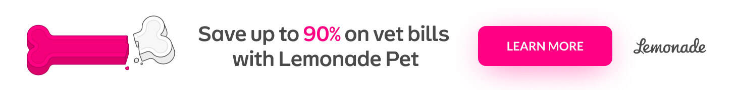 Save up to 90% on vet bills with Lemonade Pet