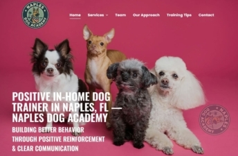 Naples Dog Academy featured image for this Dog Trainer